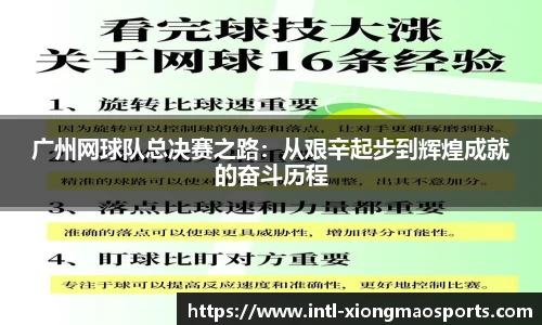 熊猫体育官网